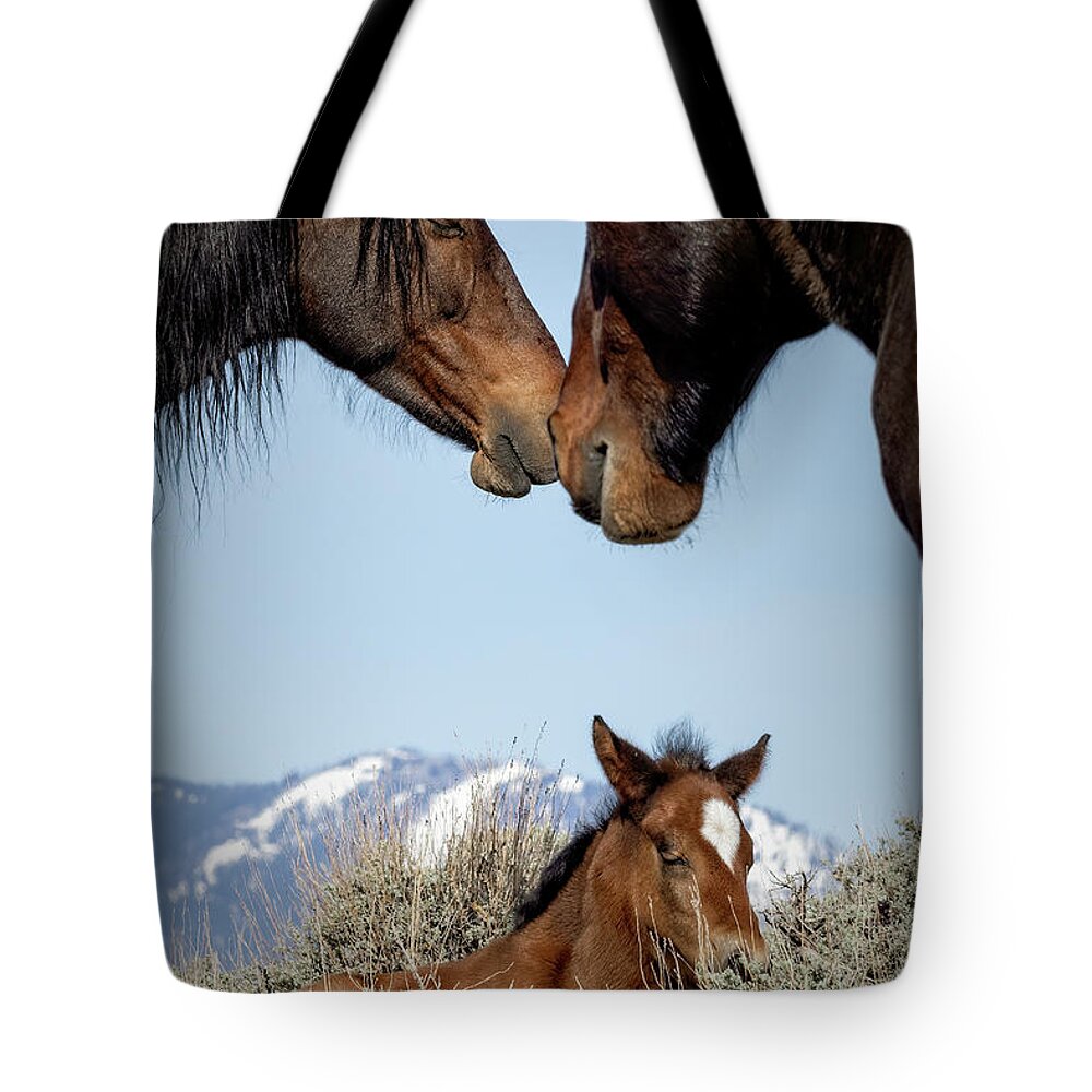  Tote Bag featuring the photograph Jtr58368 by John T Humphrey
