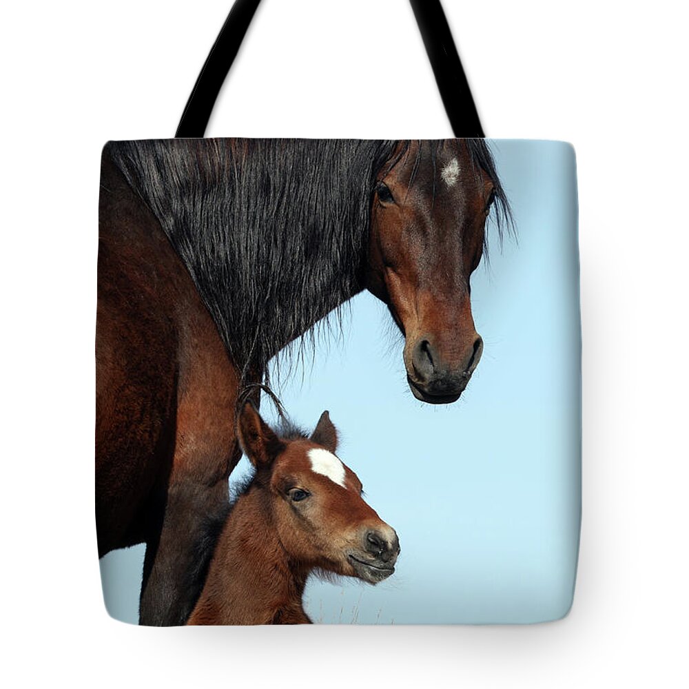  Tote Bag featuring the photograph Jtr58392 by John T Humphrey