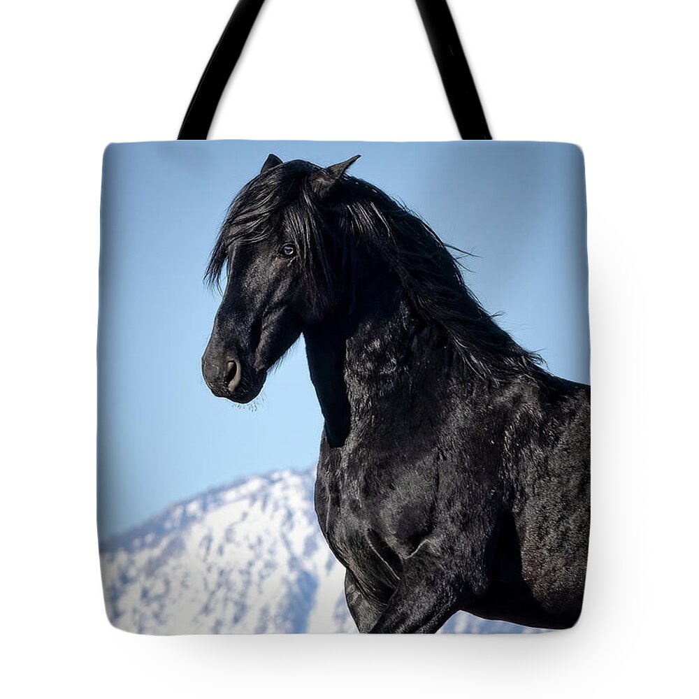  Tote Bag featuring the photograph Jtr59639 by John T Humphrey