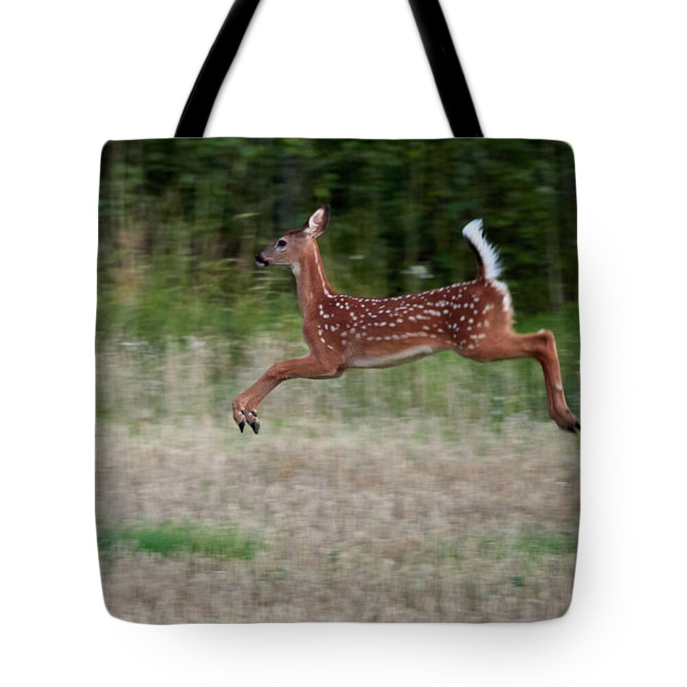 Finland Tote Bag featuring the photograph Jump and fly. White-tailed deer by Jouko Lehto