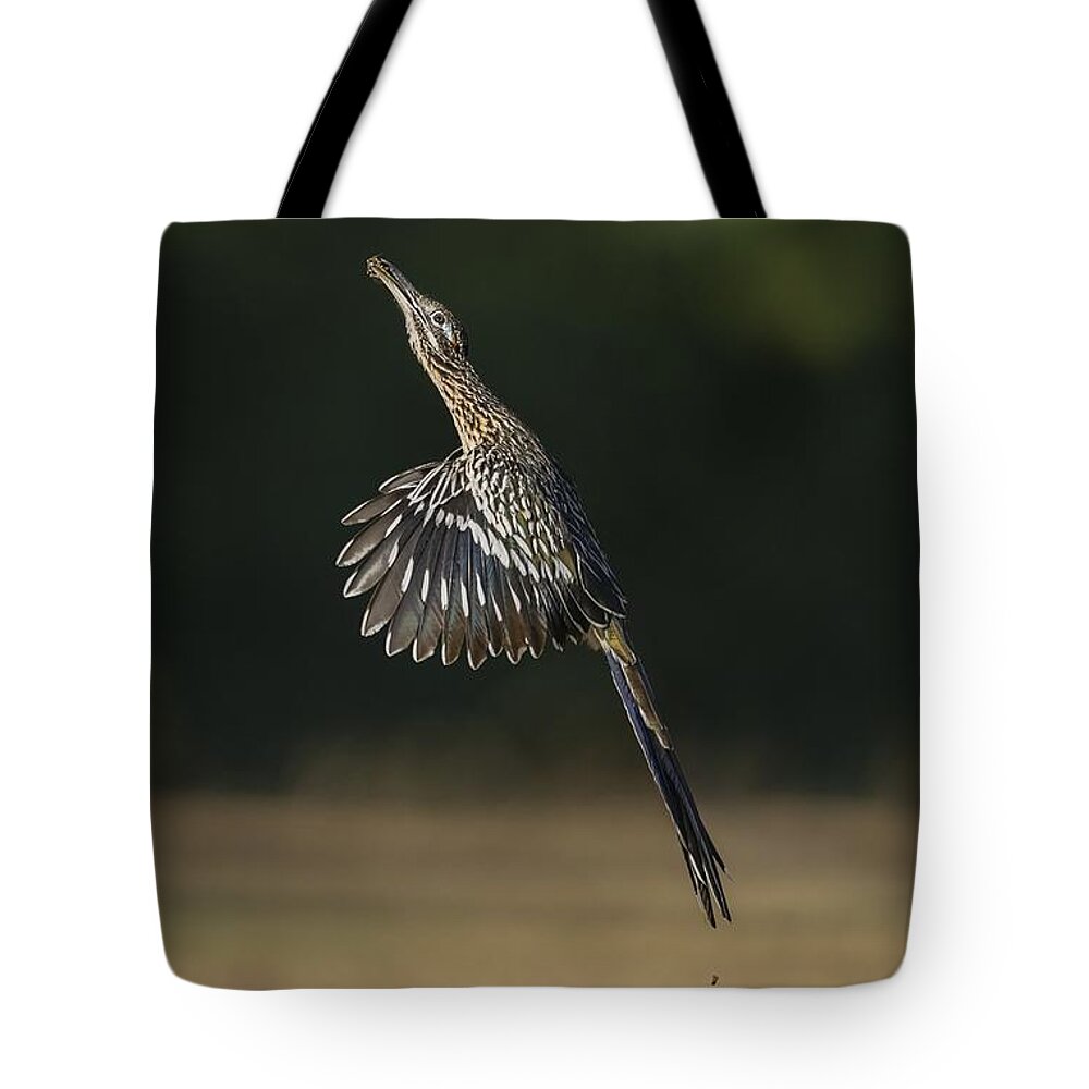Greater Roadrunner Tote Bag featuring the photograph Jumping to Feed by Puttaswamy Ravishankar