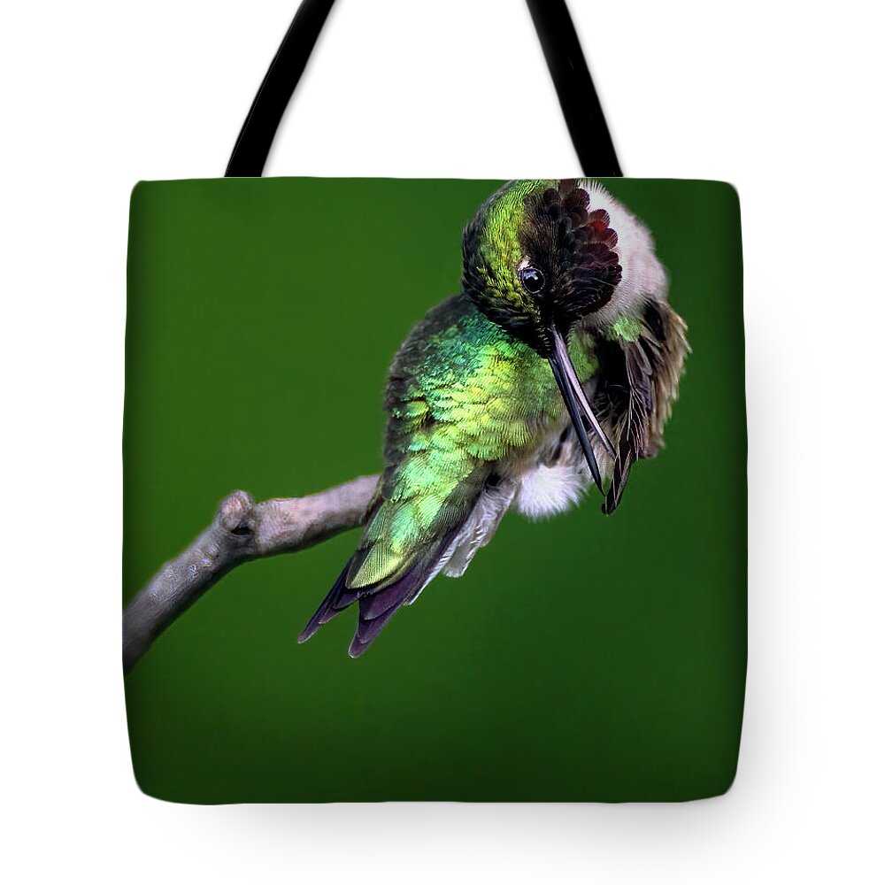 Bird Tote Bag featuring the photograph June Grooming by Art Cole