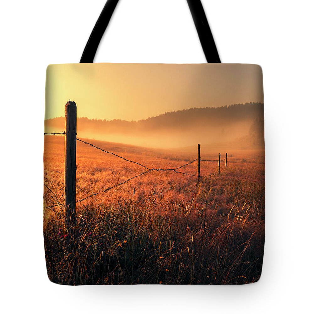 Fog Tote Bag featuring the photograph June Morning by Evgeni Dinev