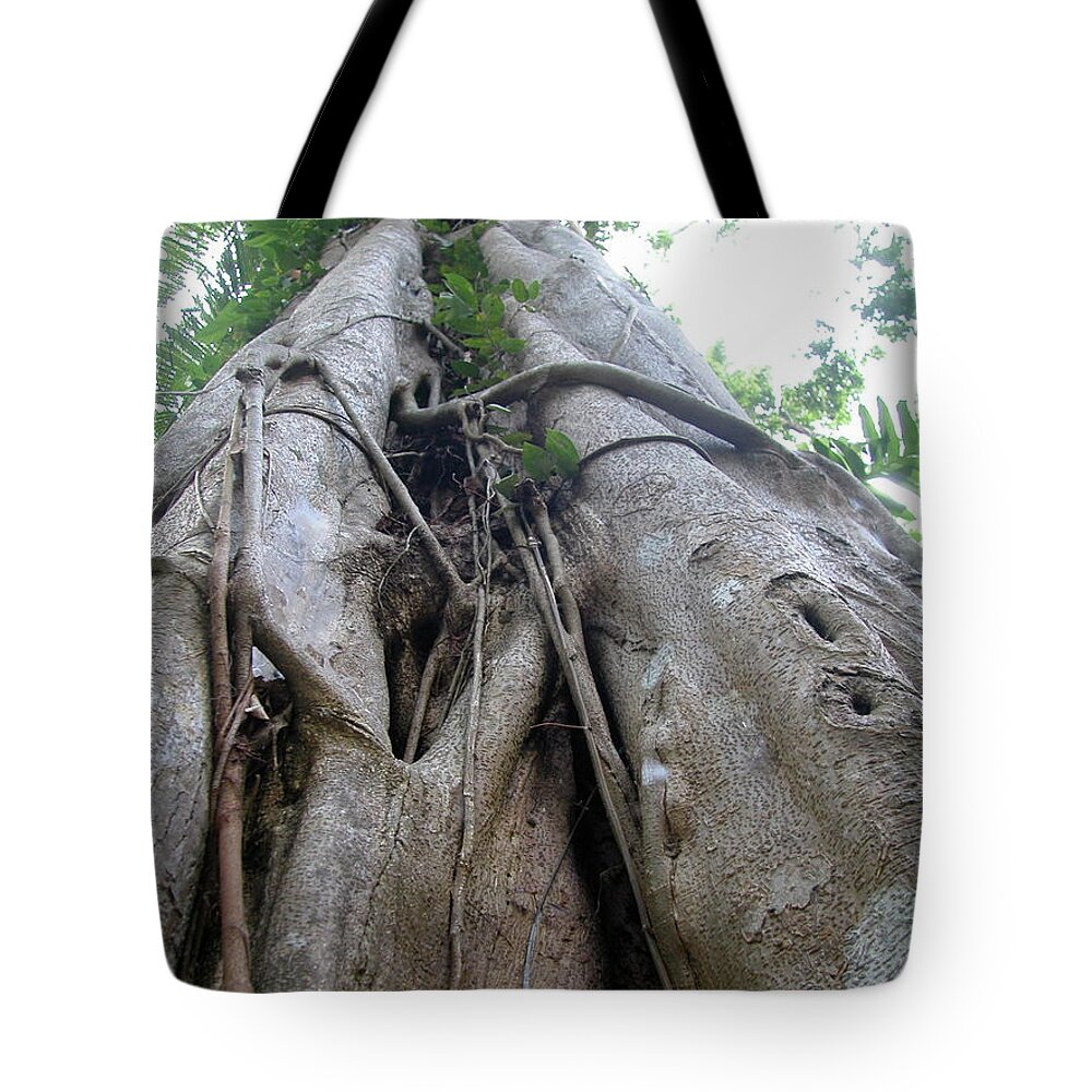 Arbre Tote Bag featuring the photograph Jungle tree Australia by Joelle Philibert
