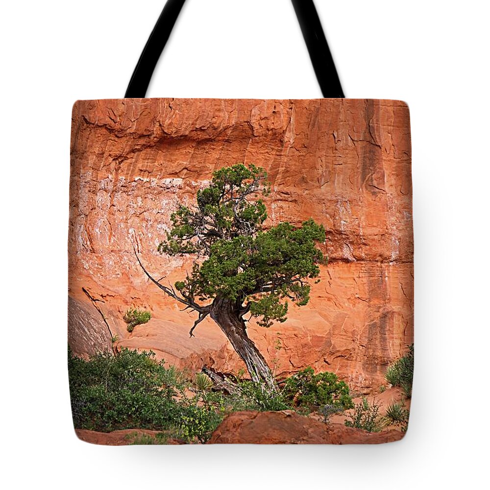 Alone Tote Bag featuring the photograph Juniper Against Rock Wall by David Desautel