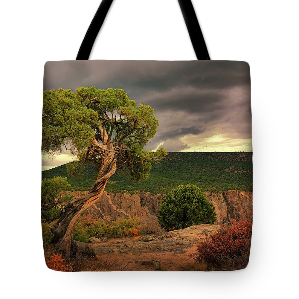 Juniper Tree Tote Bag featuring the photograph Juniper At The Canyon, Black Canyon of the Gunnison National Park, Colorado by Tom Potter