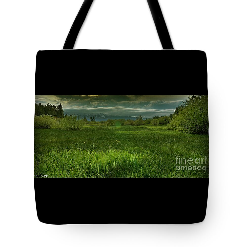 Mount Tallac California Tote Bag featuring the photograph just after the storm, El Dorado National Forest, California by PROMedias US