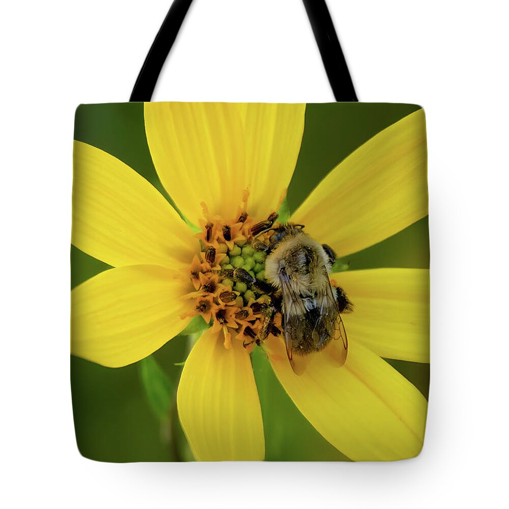 Bee Tote Bag featuring the photograph Just Doing My Job by John Kirkland