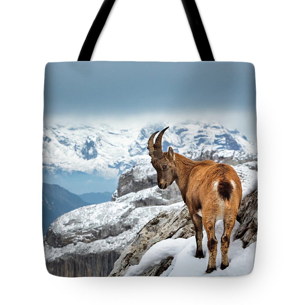 Nature Tote Bag featuring the photograph Just Goating Around by Rick Deacon