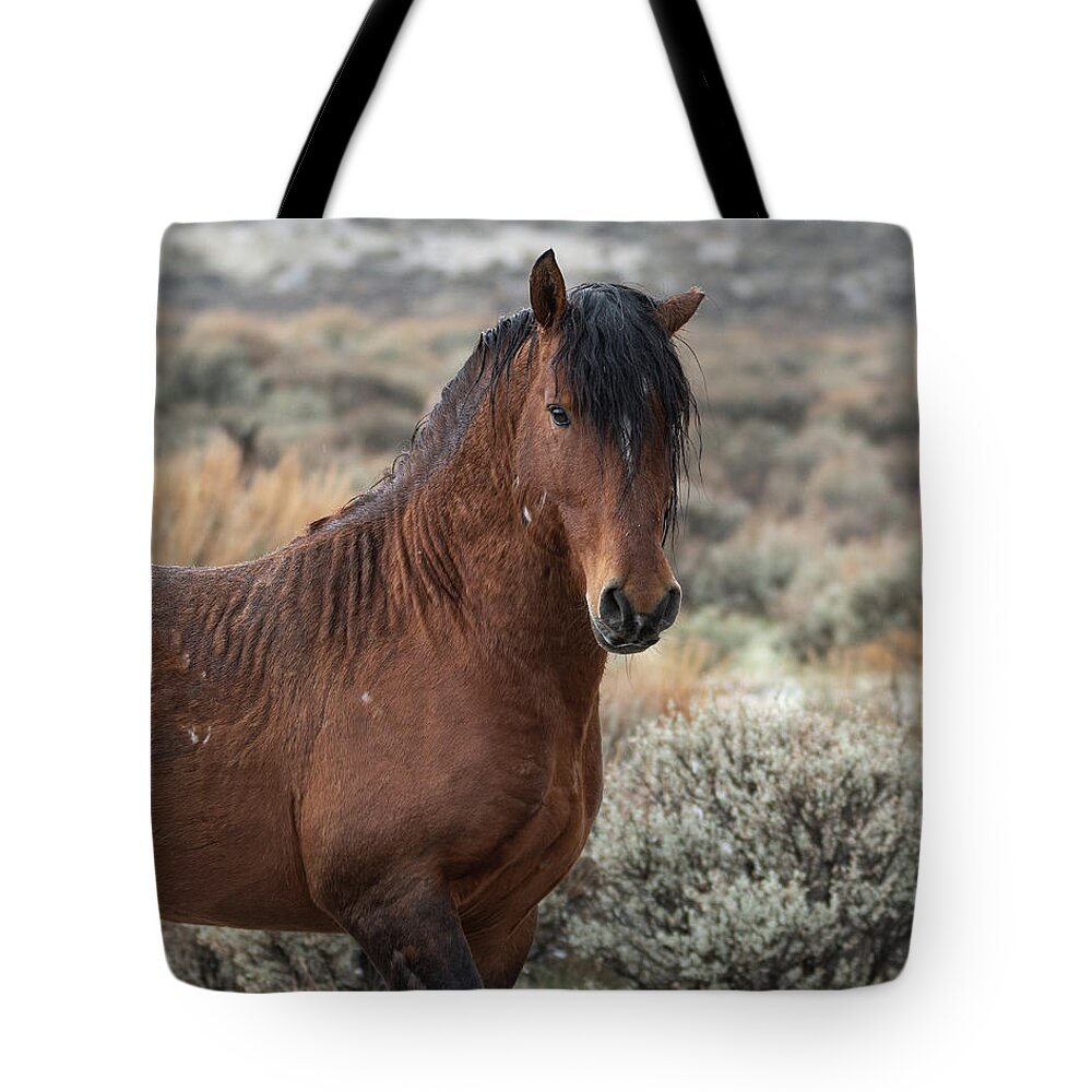 Wild Horses Tote Bag featuring the photograph Just Handsome by Mary Hone