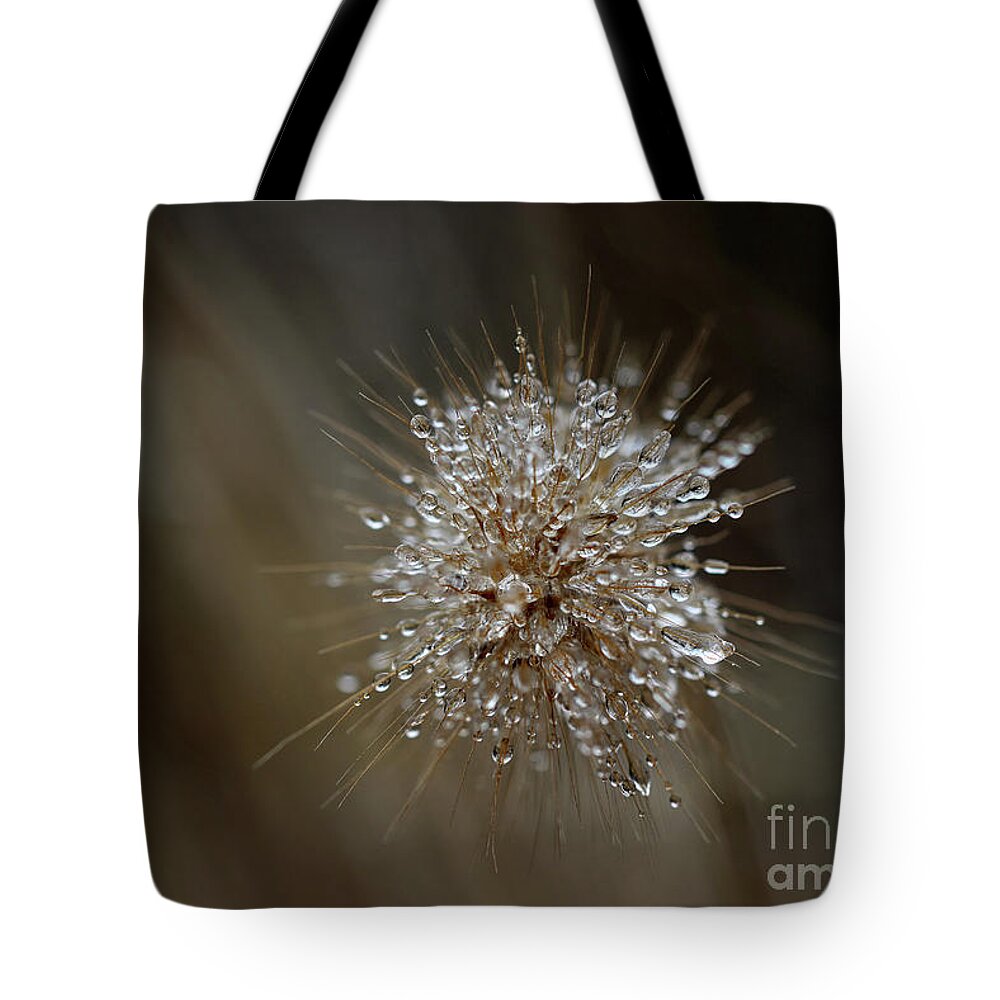 Mist Tote Bag featuring the photograph Just by Karen Adams