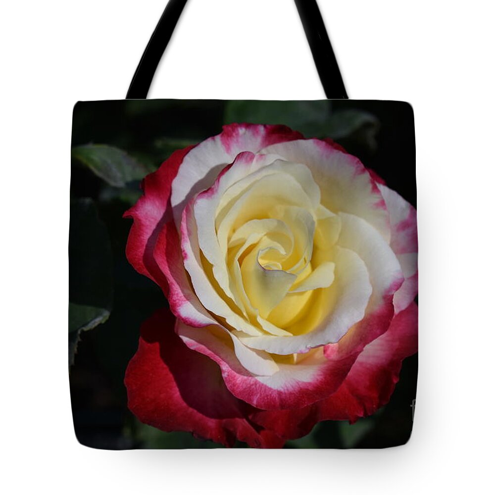 Rosas Tote Bag featuring the digital art Just Love by Yenni Harrison