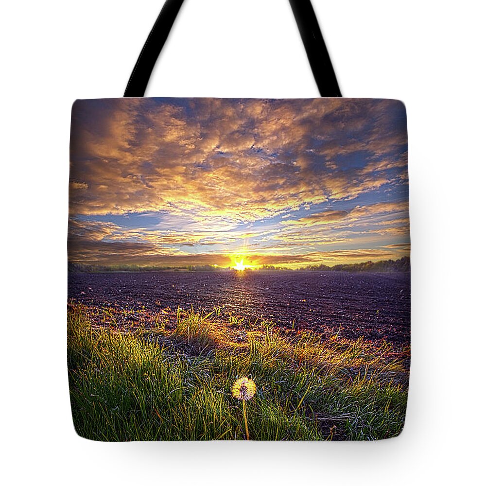 Fineart Tote Bag featuring the photograph Just One Can Lead To Many by Phil Koch