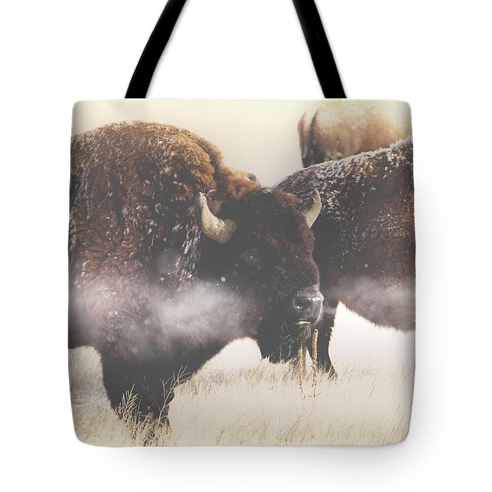 Buffalo Tote Bag featuring the photograph Just One Of The Boys Blowing Off A Little Steam  by Brian Gustafson
