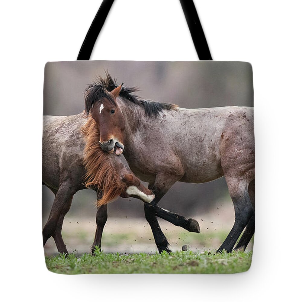 Battle Tote Bag featuring the photograph Just Playing by Shannon Hastings