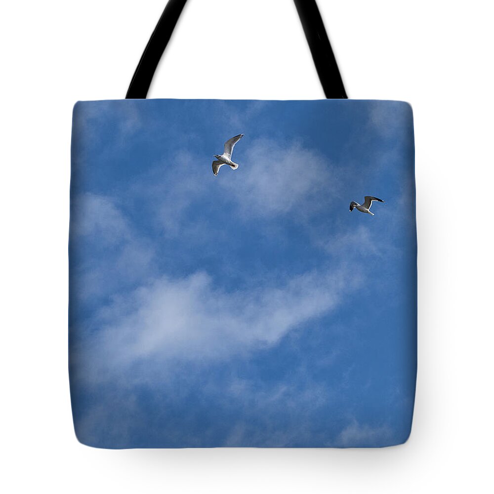 Parksville Tote Bag featuring the photograph Just The Two Of Us by Allan Van Gasbeck