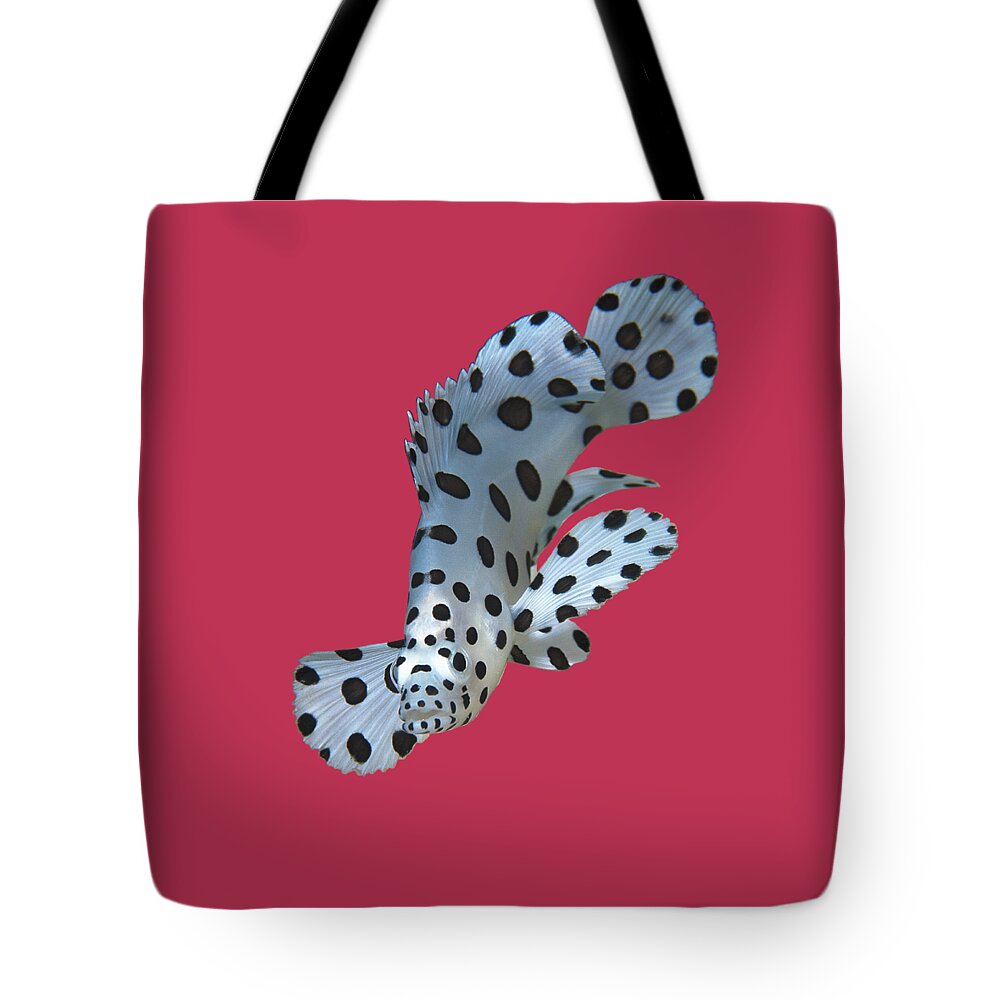 Juvenile Fish Tote Bag featuring the mixed media Juvenile fish - Small Grouper, close and intense - Viva Magenta Background - by Ute Niemann