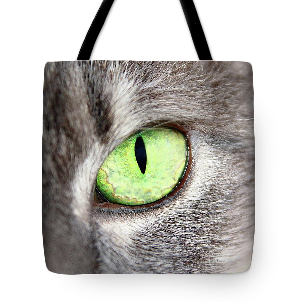 Cat Tote Bag featuring the photograph Keeping An Eye On You by Lens Art Photography By Larry Trager