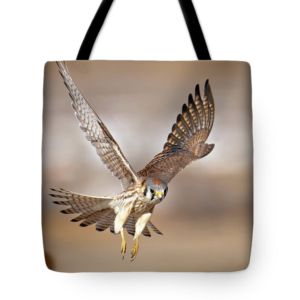 Kestrel Tote Bag featuring the photograph Kestrel Flying Low by Judi Dressler