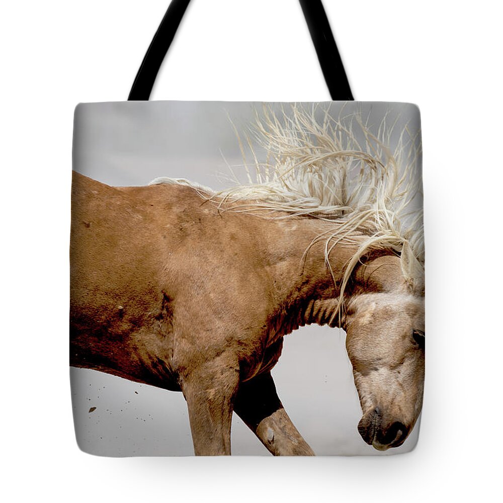 Wild Horse Tote Bag featuring the photograph Kick by Mary Hone