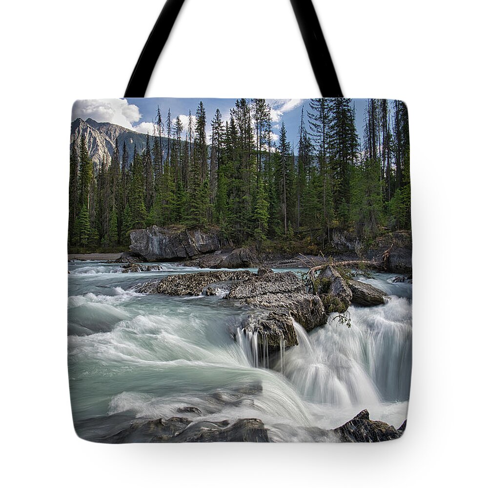 Landscape Tote Bag featuring the photograph Kicking Horse Drama Top Of The Falls by Allan Van Gasbeck