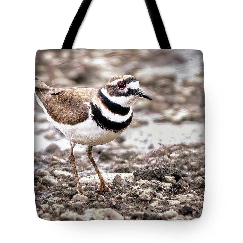 Bird Tote Bag featuring the photograph Killdeer by Ira Marcus