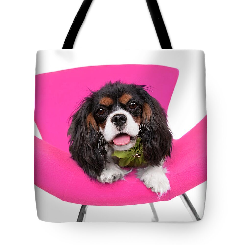 Dog Tote Bag featuring the photograph King Charles Caviler Pink Chair Joy by Renee Spade Photography
