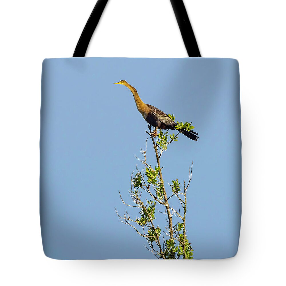 R5-2630 Tote Bag featuring the photograph King of the Marsh by Gordon Elwell