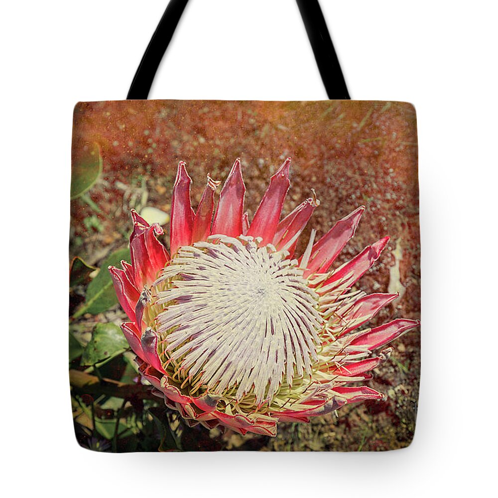Floral Tote Bag featuring the photograph King Protea #2 by Elaine Teague