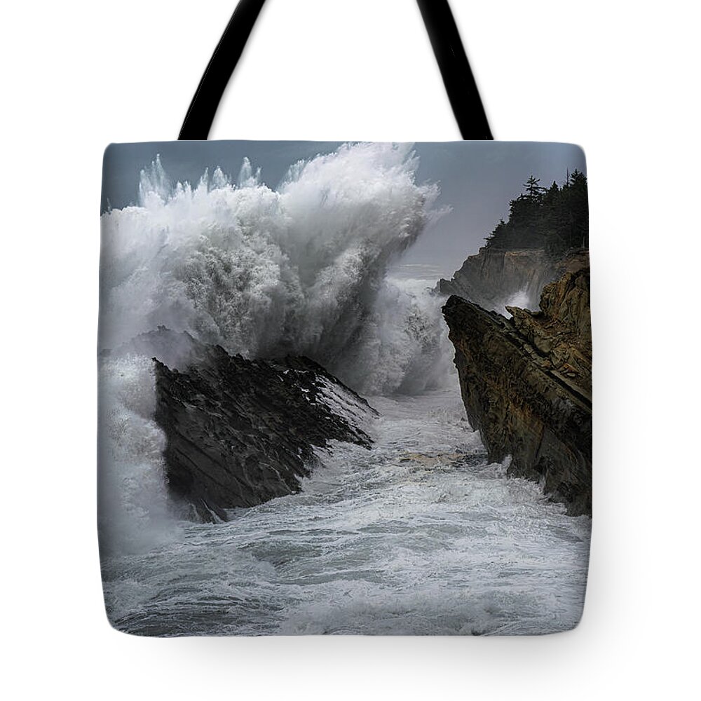 Coast Tote Bag featuring the photograph King Tides 1 by Ryan Weddle