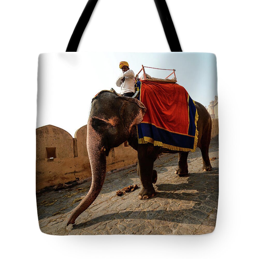 India Tote Bag featuring the photograph Kingdom Come II - Amber Fort, Rajasthan. India by Earth And Spirit