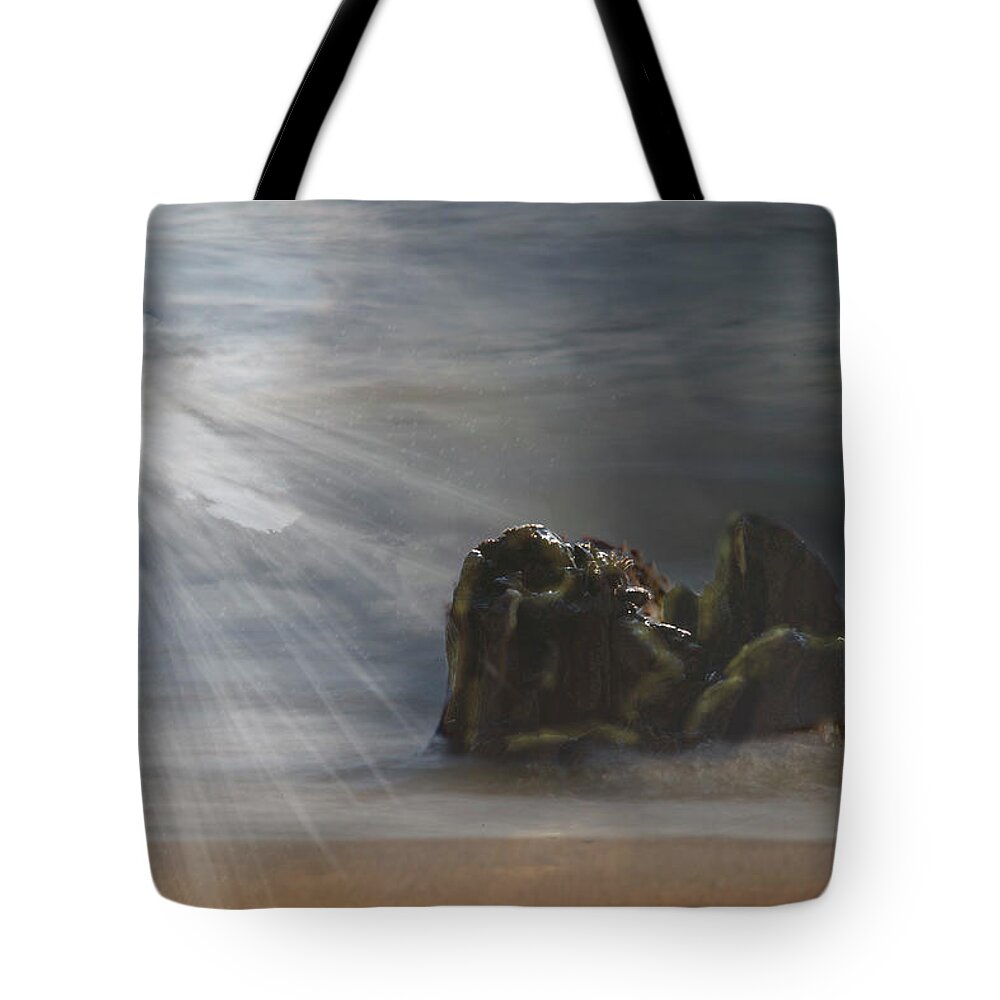 Background Tote Bag featuring the photograph Kirk Park Moon by Evie Carrier