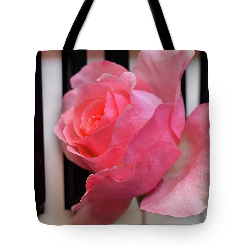 Music Tote Bag featuring the photograph Kiss From A Rose On The Piano by Leonida Arte
