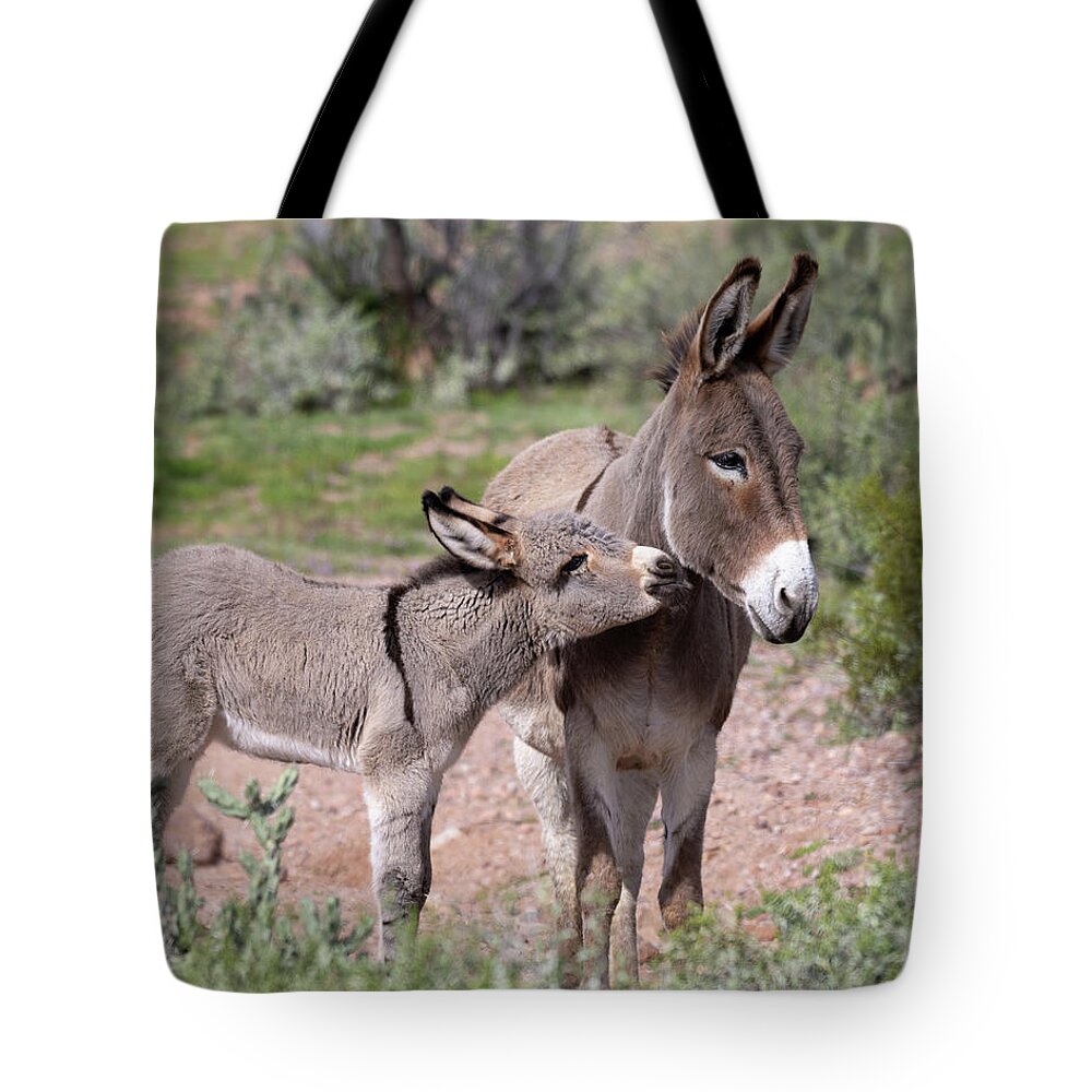 Wild Burro Tote Bag featuring the photograph Kiss by Mary Hone