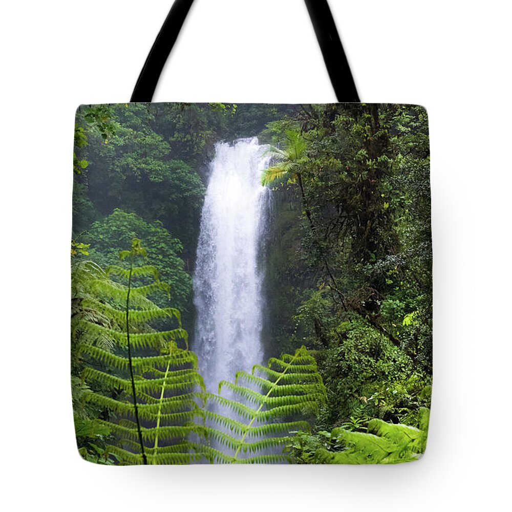 Waterfalls Tote Bag featuring the photograph To Cleanse The Soul by Karen Wiles