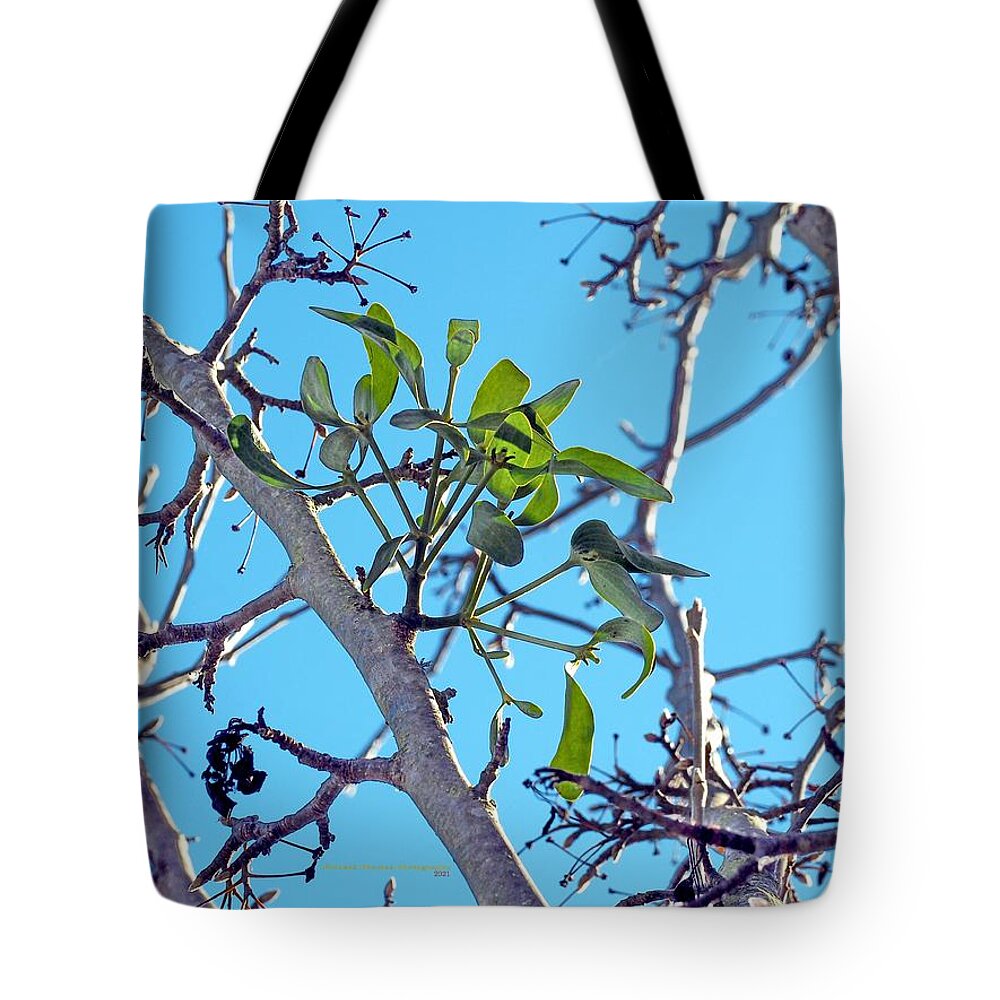 Winter Tote Bag featuring the photograph Kiss Starter by Richard Thomas