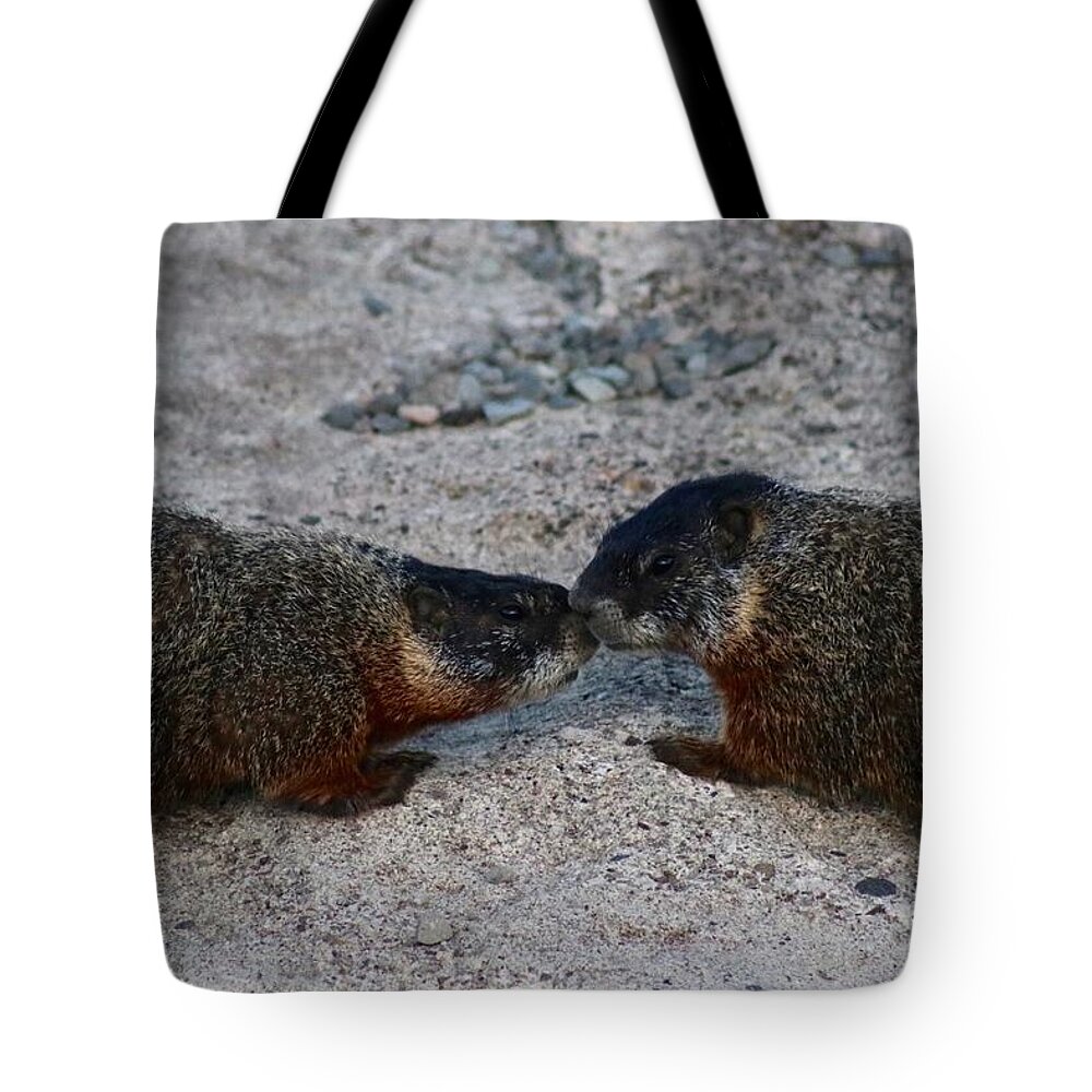 Marmot Tote Bag featuring the photograph Kissin' Marmots by Yvonne M Smith