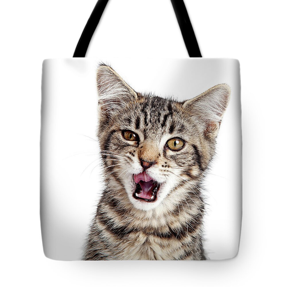 Adorable Tote Bag featuring the photograph Kitten Hungry Mouth Open Wide by Good Focused