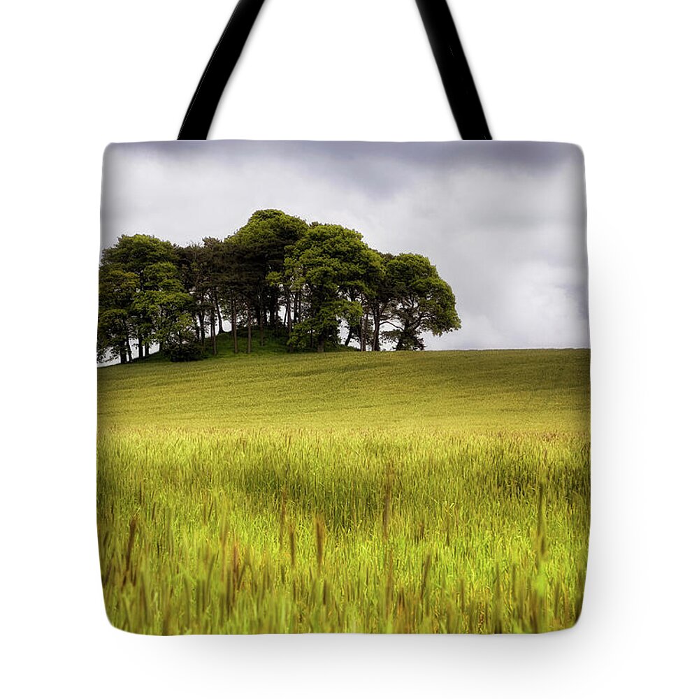 Scotland Tote Bag featuring the photograph Knowehead Cairn - Coupar Angus - Scotland by Jason Politte