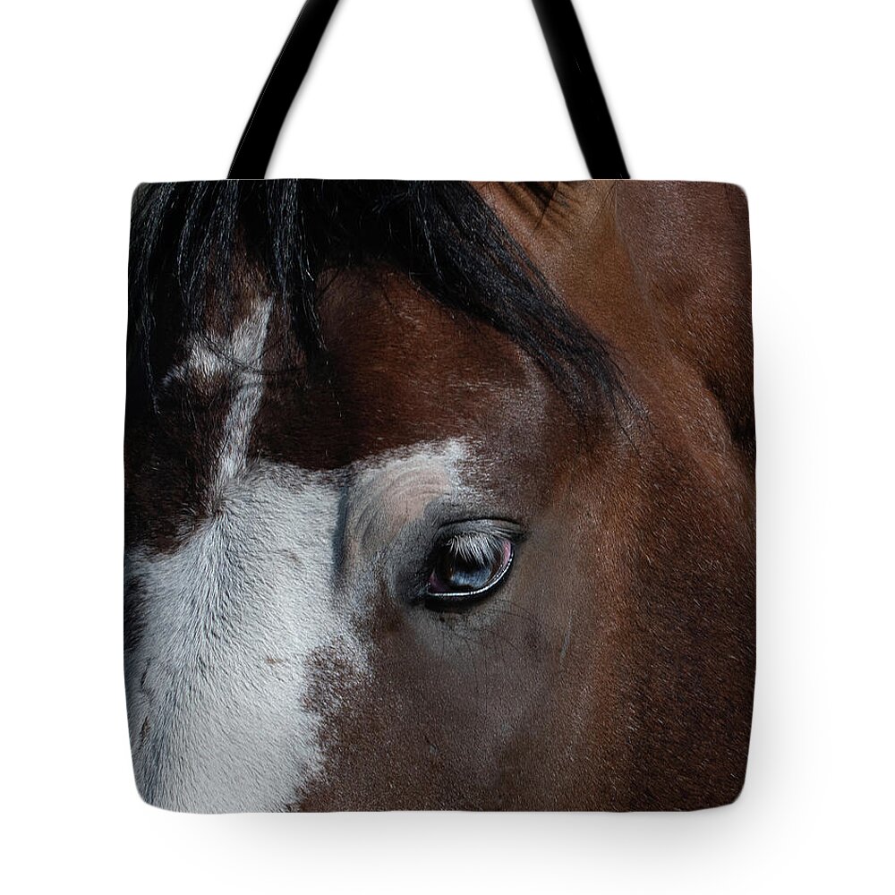Wild Horses Tote Bag featuring the photograph Knowledge by Mary Hone