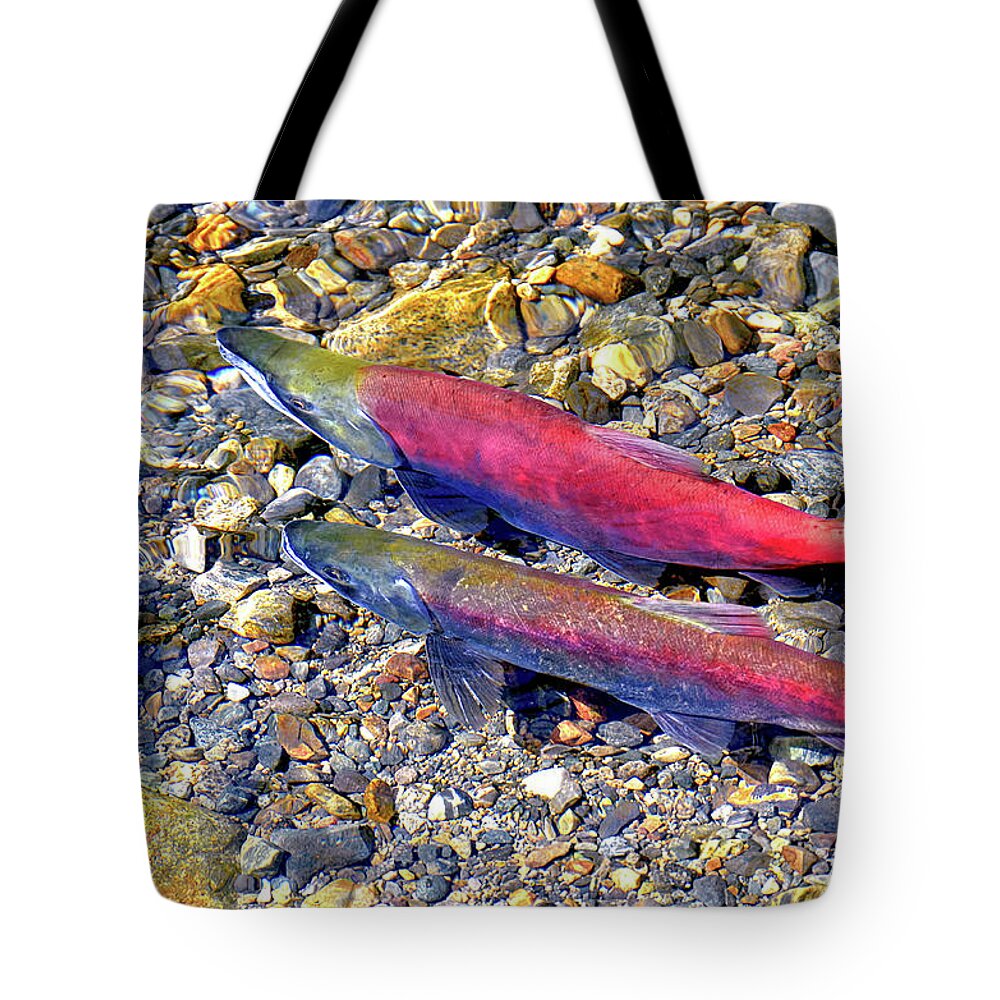 David Lawson Photography Tote Bag featuring the photograph Kokanee Salmon At Taylor Creek by David Lawson