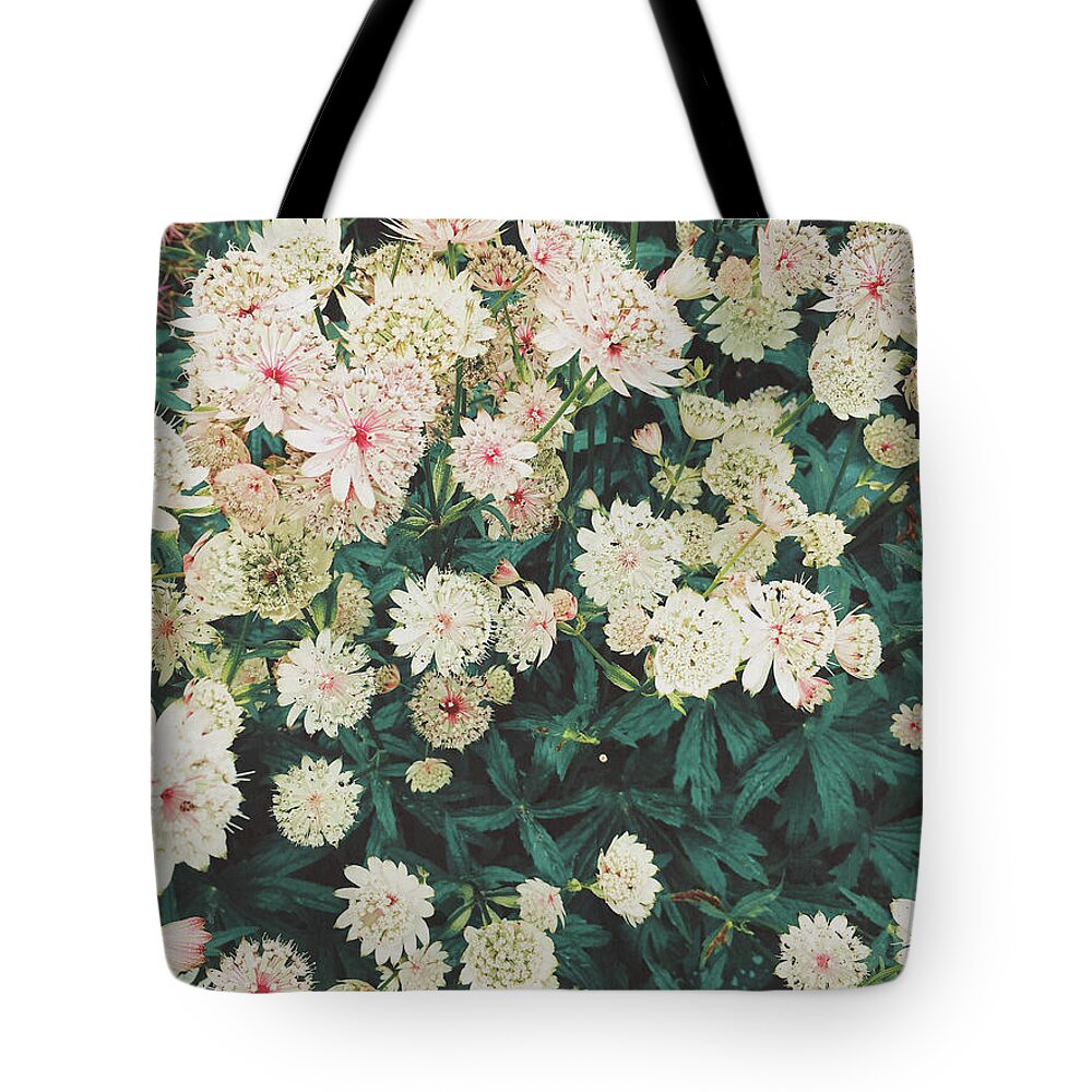 Lace Flowers Tote Bag by Cassia Beck - Pixels