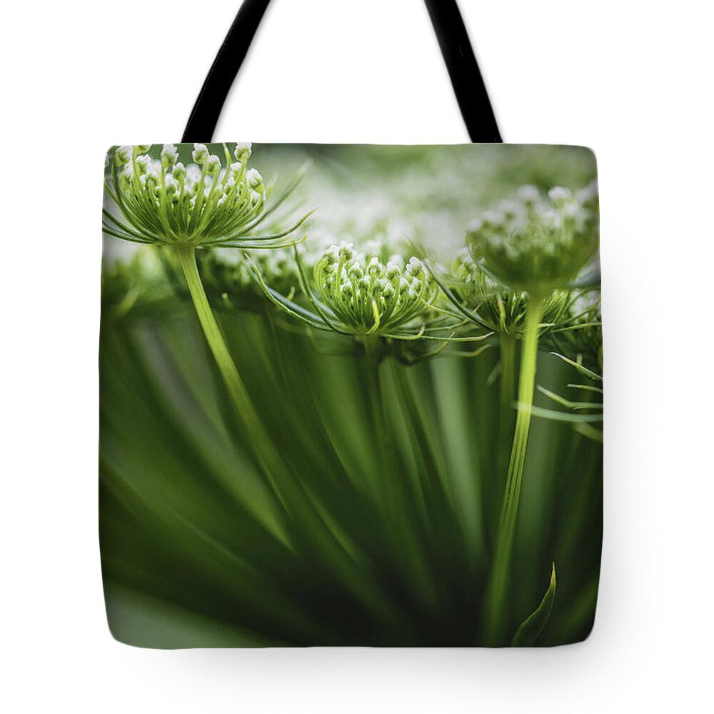 Flower Tote Bag featuring the photograph Lace by Laura Roberts