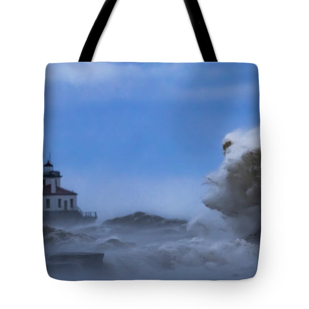 Oswego Tote Bag featuring the photograph Lady From The Deep by Everet Regal