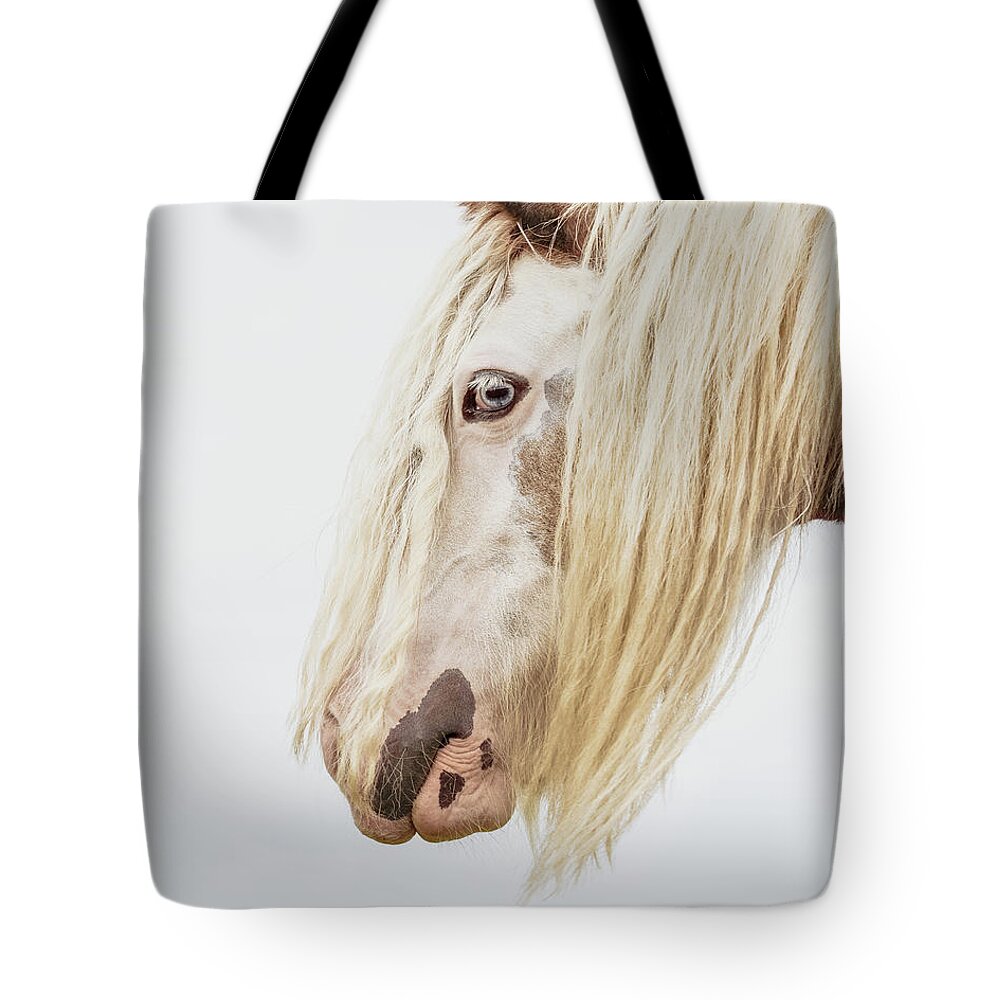 Photographs Tote Bag featuring the photograph Lady II - Horse Art by Lisa Saint