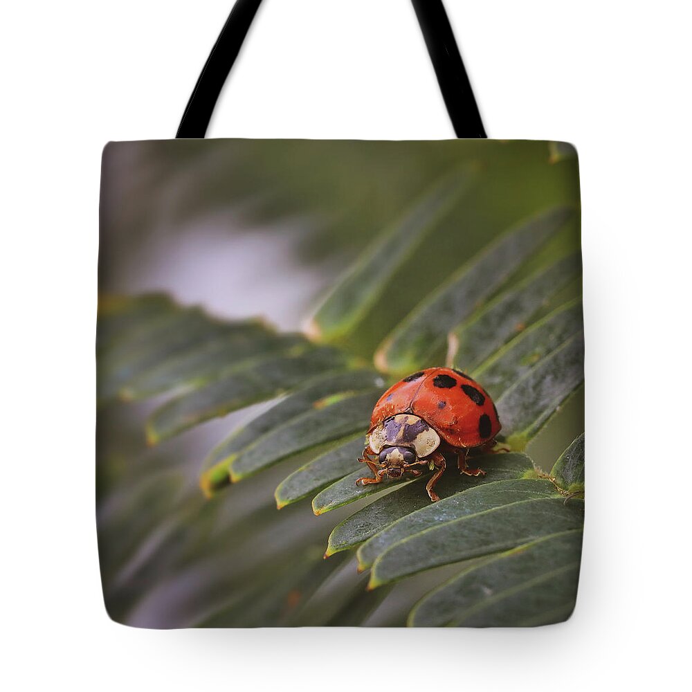 Mountain Tote Bag featuring the photograph Lady in the Jungle by Go and Flow Photos