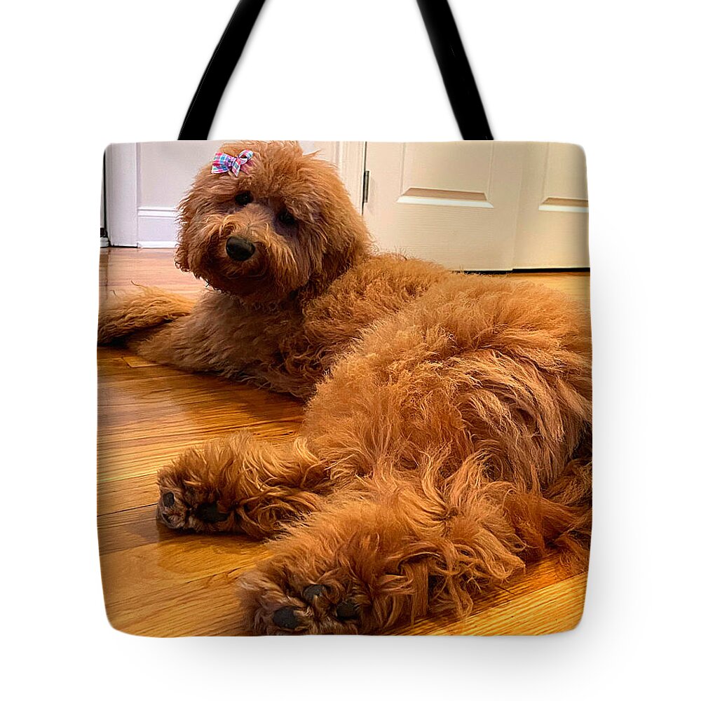 Goldendoodle Tote Bag featuring the photograph Ladybird Swimsuit Edition by Lee Darnell