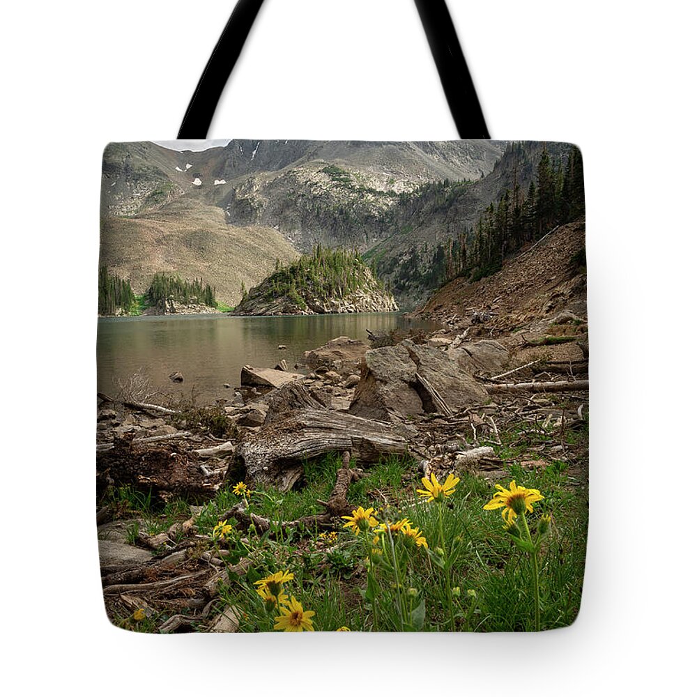 Mountains Tote Bag featuring the photograph Lake Agnes Wildflowers by Aaron Spong