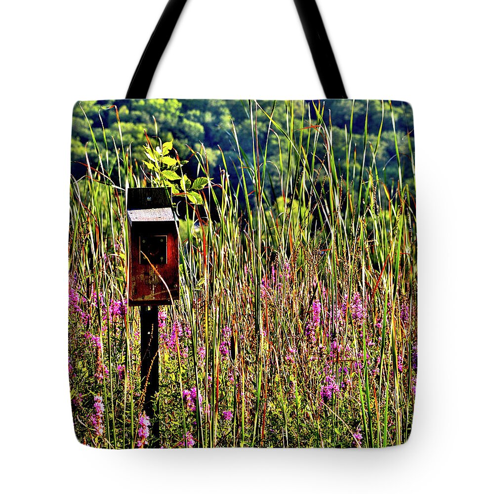 Lake Winona Tote Bag featuring the photograph Lake Home by Susie Loechler