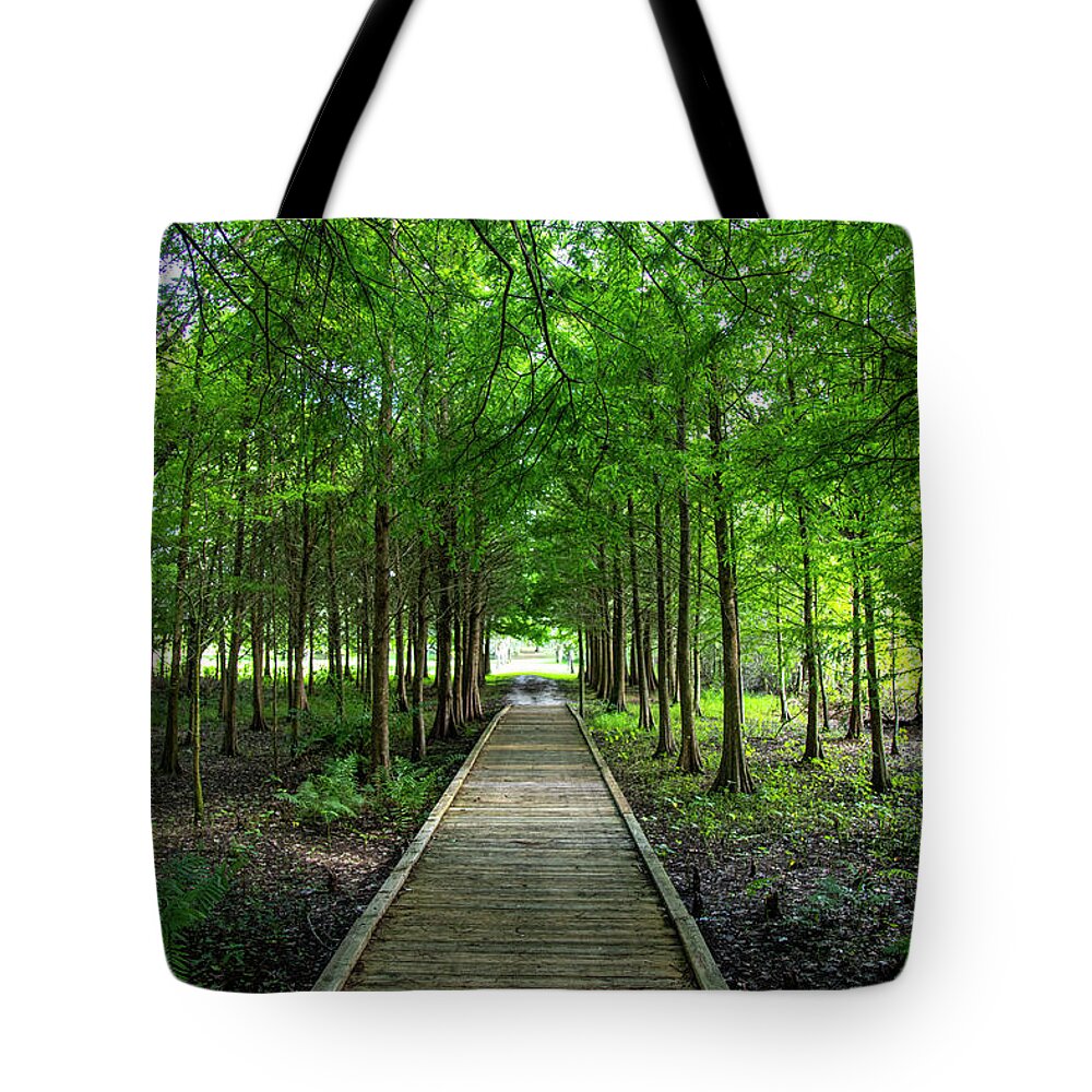 Woods Tote Bag featuring the photograph Lake Istokpoga Park by Dart Humeston